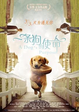 一条狗的使命(国语版)