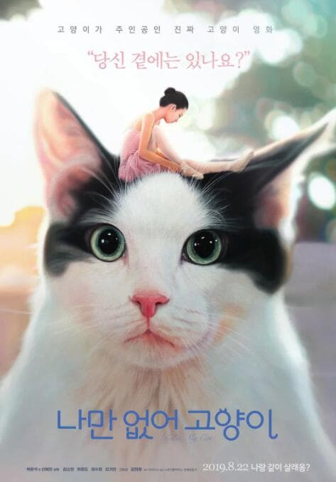 孔雀夫人