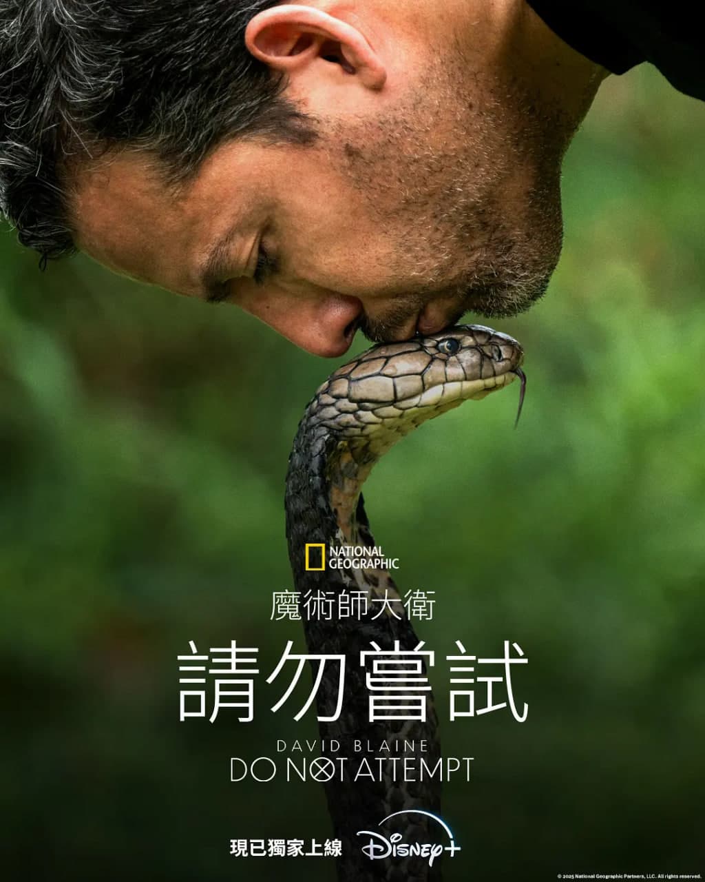 随风飞扬