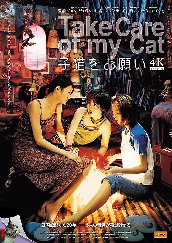猫样少女