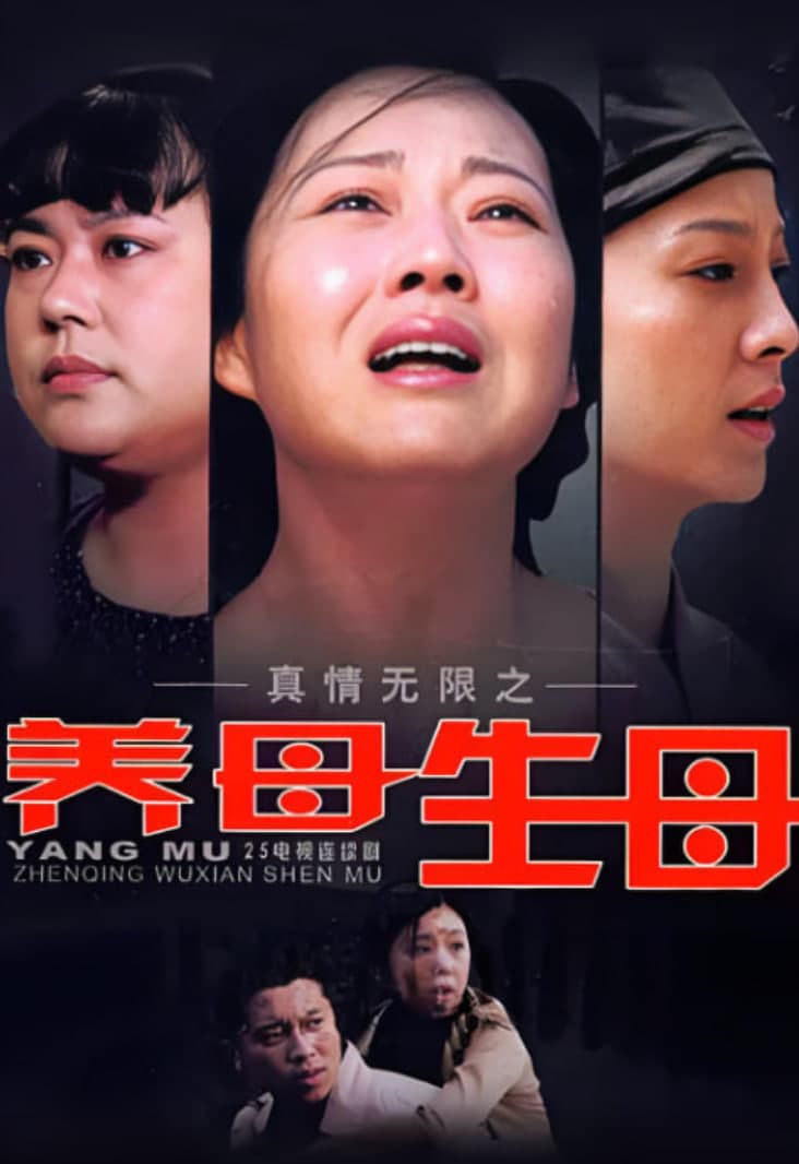 真情无限之养母生母
