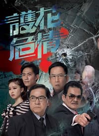 护花危情