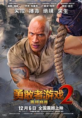 勇敢者游戏2：再战巅峰（国语版）