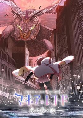 魔法纪录：魔法少女小圆外传