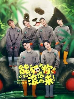 熊猫与你，滚滚而来！