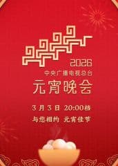 2026年中央广播电视总台元宵晚会​