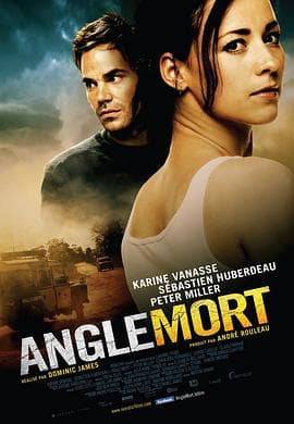 盲点 Angle mort