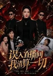 幻影车神：魔盗激情 国语版