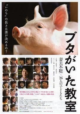 刺杀玫瑰