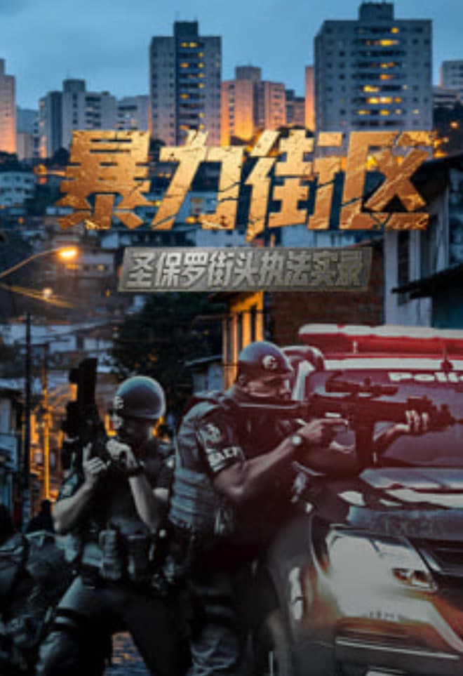 暴力街区:圣保罗街头执法实录