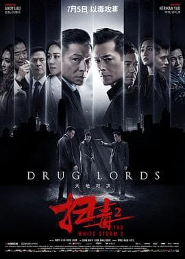 扫毒2天地对决(国语版)